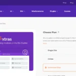 Divi Extras