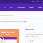 Gravity Forms Styler For Divi