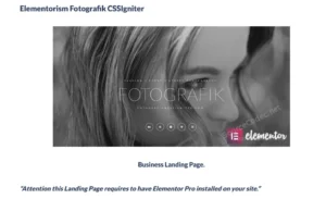 Elementorism Fotografik Landing Page