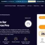 Wallet System for WooCommerce Pro