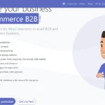 WooCommerce B2B
