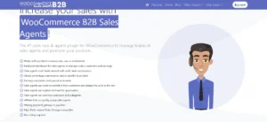 WooCommerce B2B Sales Agents