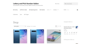 WooCommerce Lottery Pick Number