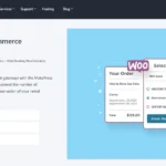 Hotel Booking WooCommerce Payments