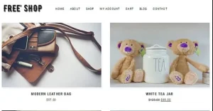 Premium Shop Responsive WordPress Woocommerce Theme