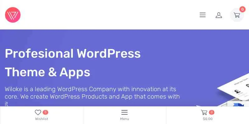 Wiloke Polaroids Gallery