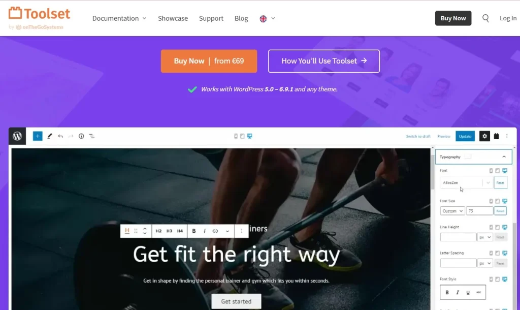 Toolset Twenty Seventeen Integration