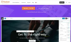 Toolset Twenty Seventeen Integration