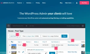 Admin Columns Pro – Ninja Forms