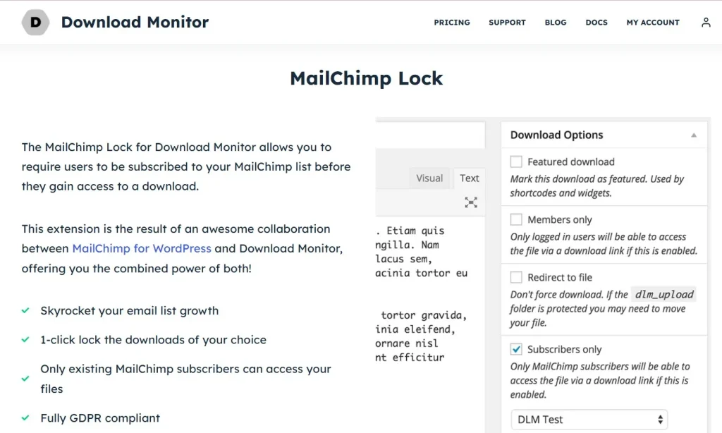 Download Monitor – MailChimp Lock
