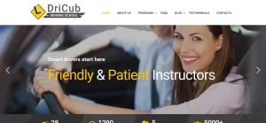 DriCub Driving School