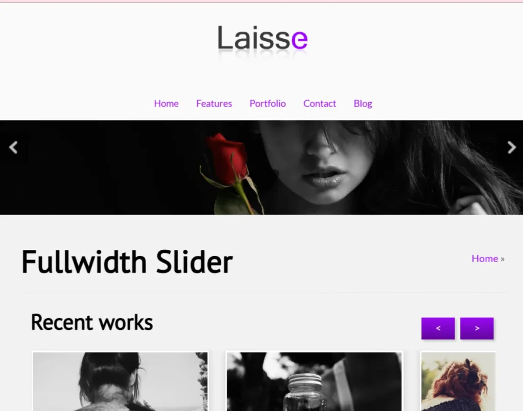 Laisse Premium WordPress Theme 1 Laisse Premium WordPress Theme