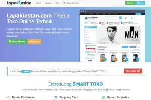 Lapakinstan Theme (SMTX)