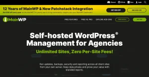 MainWP WordPress SEO Extension