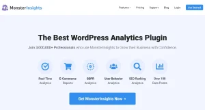 MonsterInsights – AMP Addon