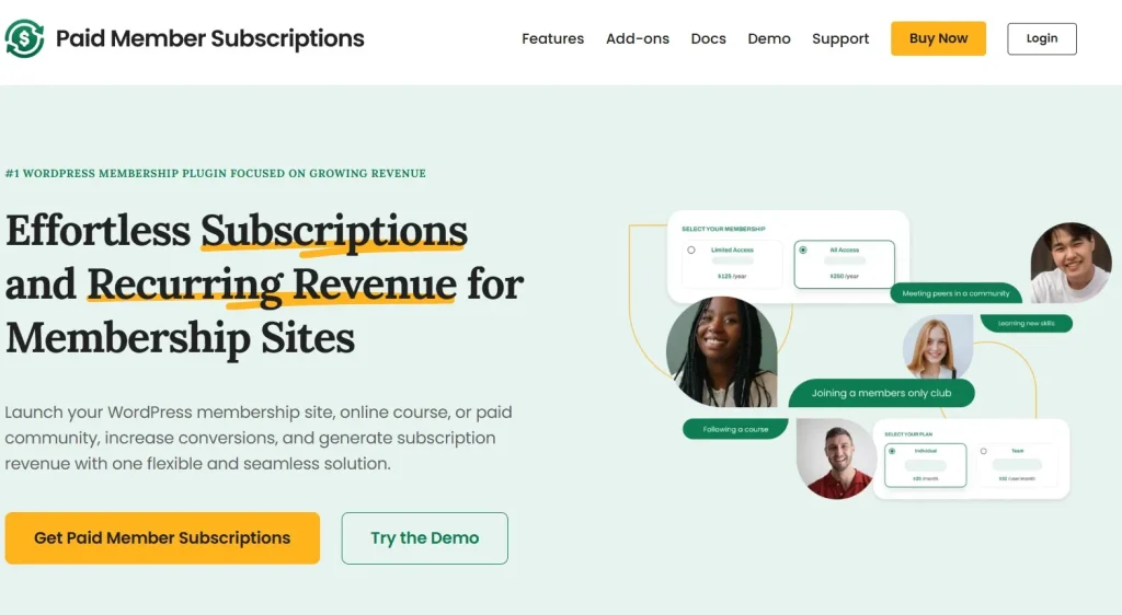 Paid Member Subscriptions – Discount Codes Add-on