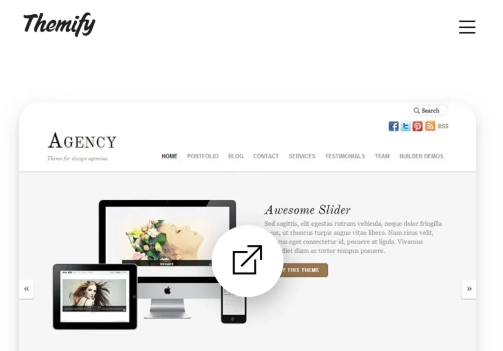 Themify Agency