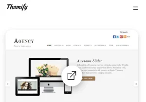 Themify Agency