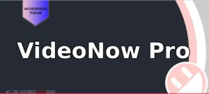 VideoNow Pro