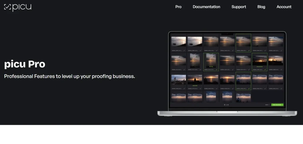 picu Pro