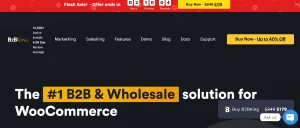 B2BKing Company Credit Addon