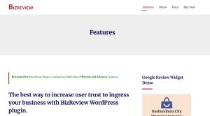 BizReview – All Business Review WordPress Plugin