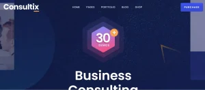 Consultix