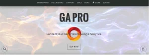 GA Google Analytics Pro