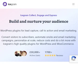 Icegram Engage Max