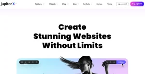 Jupiter Multi Purpose Responsive Theme
