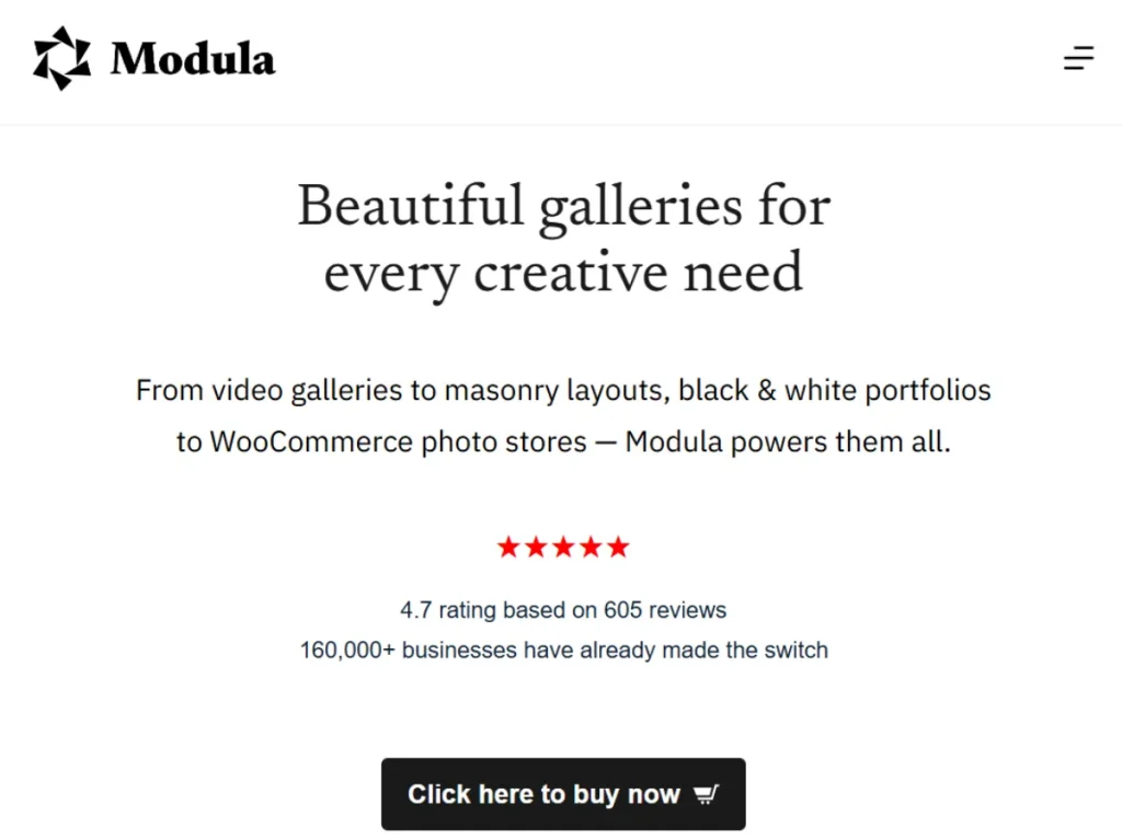 Modula Password Protect