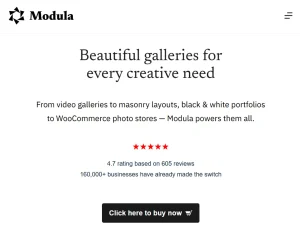 Modula Password Protect