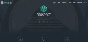 Prospect