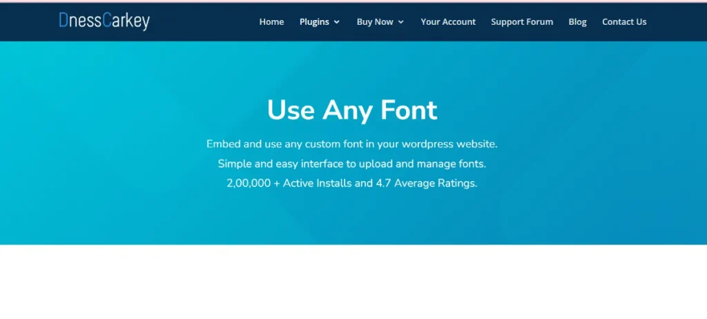Use Any Font