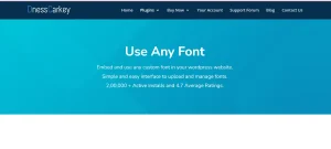 Use Any Font