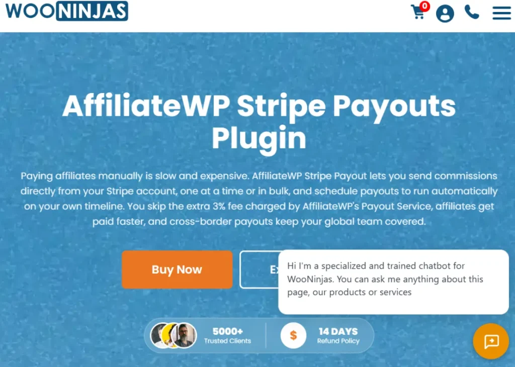 AffiliateWP Stripe Payout