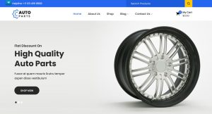 Auto Parts