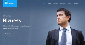 Bizness Pro