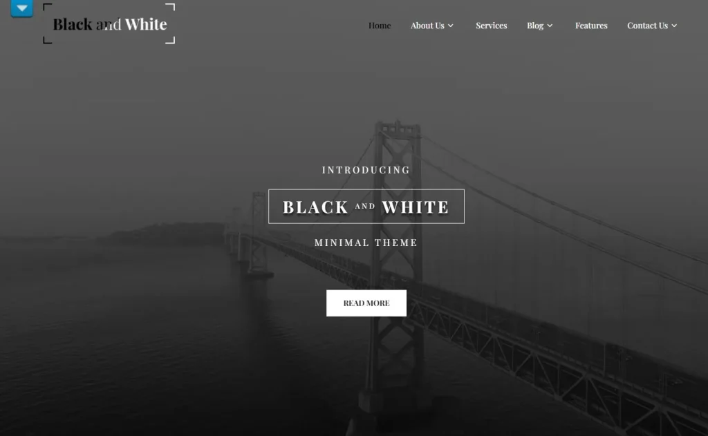 Black And White