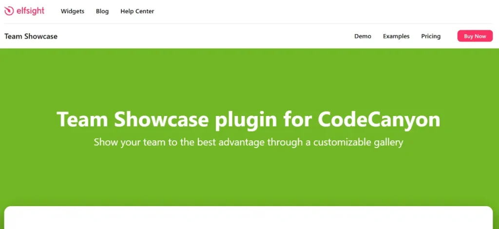 Elfsight Team Showcase CC