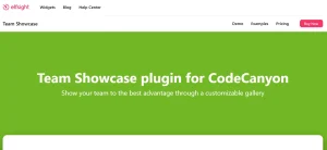 Elfsight Team Showcase CC