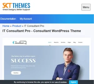 IT Consultant Pro