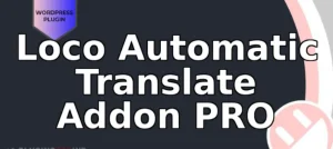 Loco Automatic Translate Addon PRO