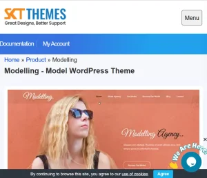 Modelling
