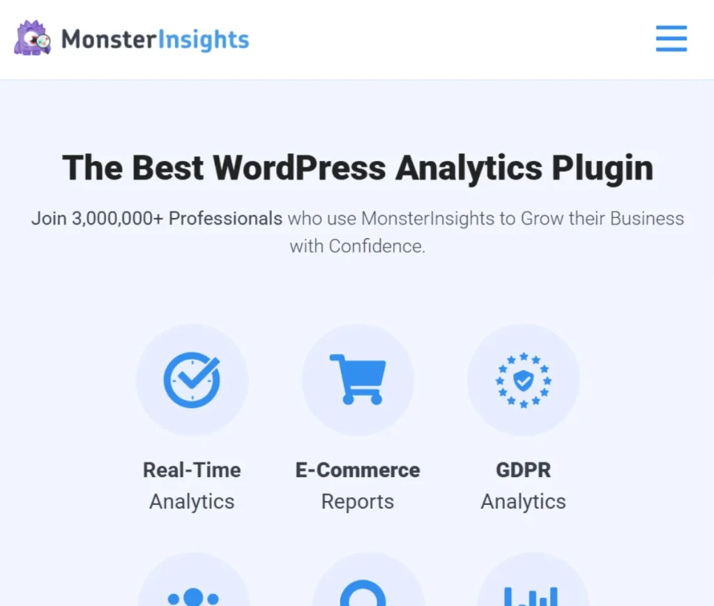MonsterInsights – Performance Addon