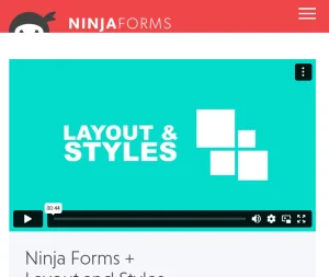 Ninja Forms – Layout & Styles