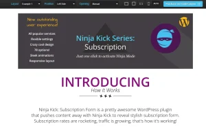 Ninja Kick: Subscription