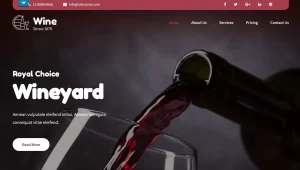 SKT Wine Pro