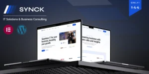 Synck IT Solutions WordPress Theme