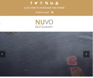 WP Nuvo